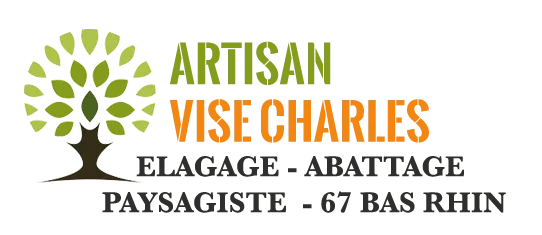 VISE CHARLES logo