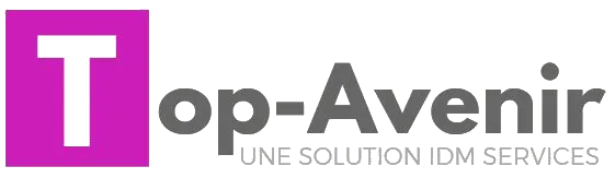 INTERACTIVE DIFFUSION MULTIMEDIA SERVICES (IDMS) logo