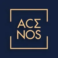 ACENOS CONSULTING logo