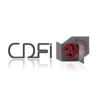 CDFI 3D logo