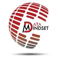 DATA MINDSET logo