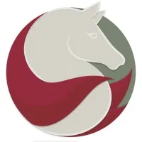 HORSESINERGIA logo