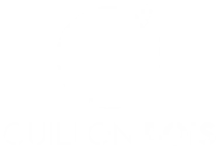 GUILLON BOIS logo