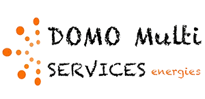 DOMO MULTI SERVICES logo