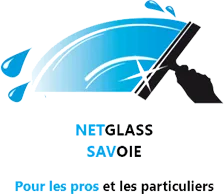 NETGLASS logo