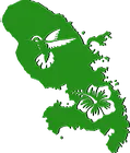L'EFFET PEYI logo
