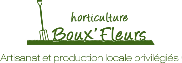 BOUX'FLEURS logo
