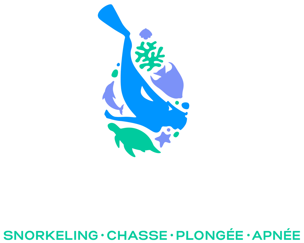 MARTINIQUE PLONGEE (MP) logo