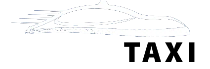 DANY TAXI logo