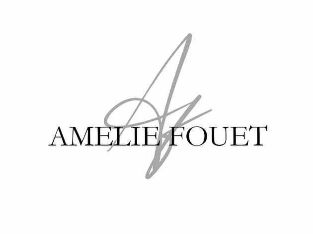 SCHNEIDER AMELIE logo