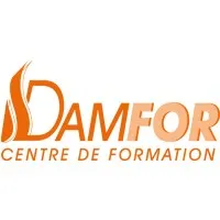DAMFOR logo