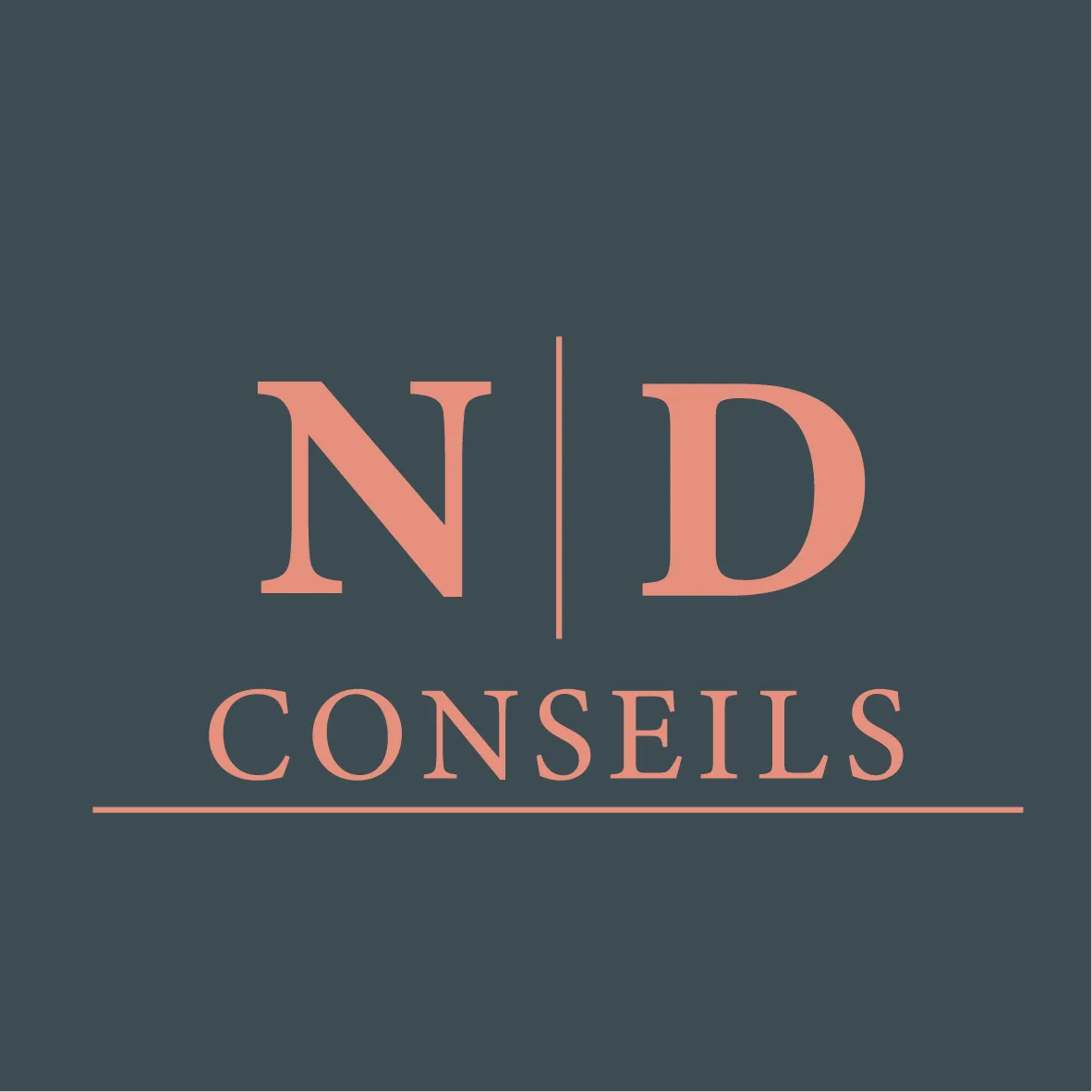 ND-CONSEILS logo