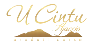 U CINTU 2A logo