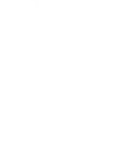 FLAVONES logo