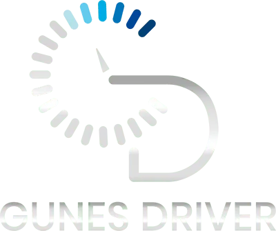GUNES AVNI logo