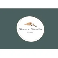 CHARLES & CLEMENTINE (C & C) logo