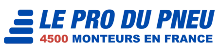 LE PRO DU PNEU EURL (LPDP) logo