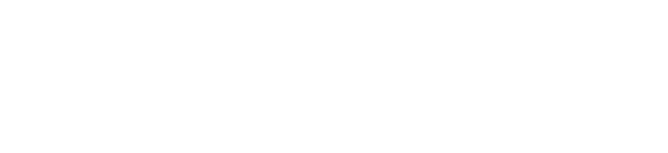 STARFLINT logo