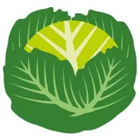 LES CHOUX D'A COTE logo