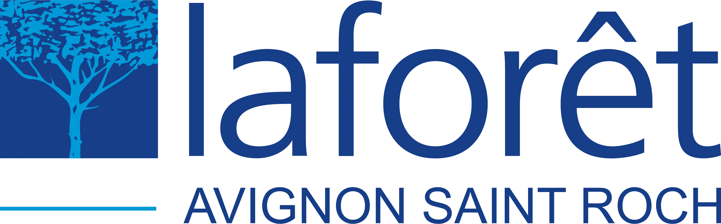 CM IMMO logo