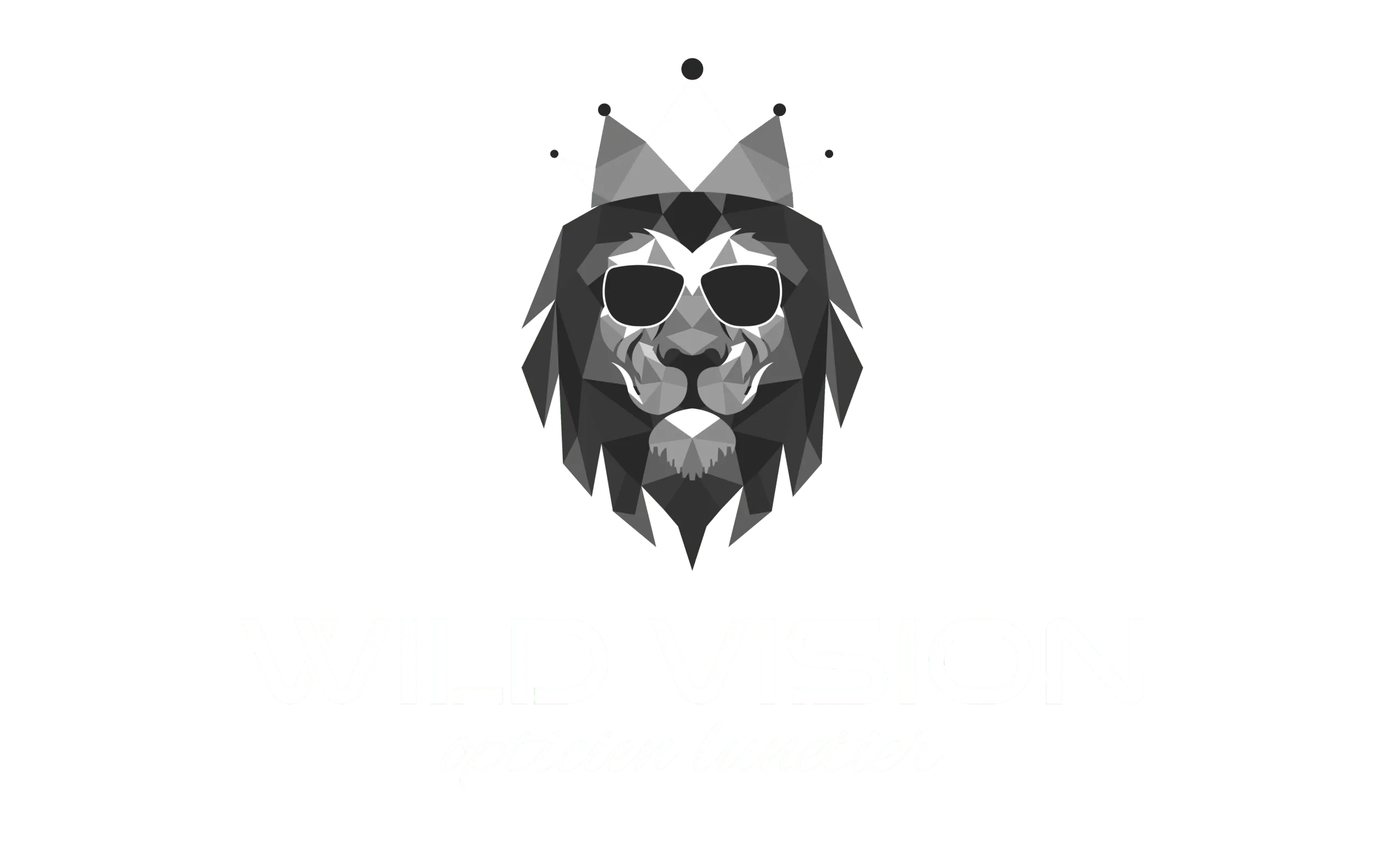 SAS AYABOU OPTIQUE logo