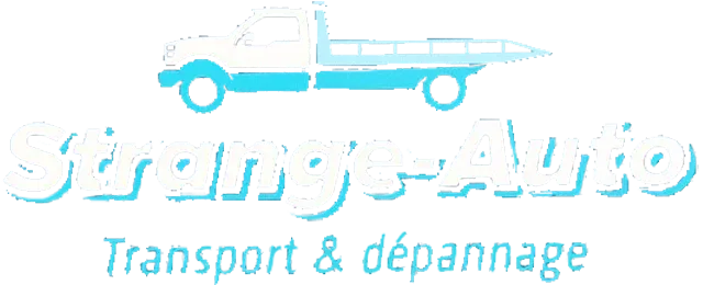 STRANGE THOMAS logo