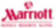 SPIKE INFLUENCE logo