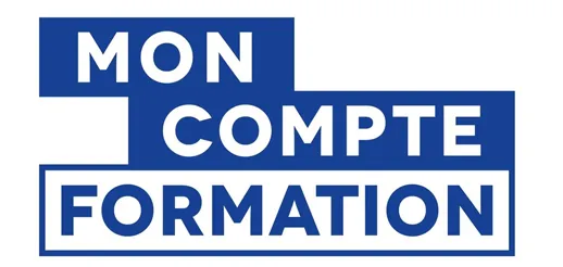 SI CONSULTING logo