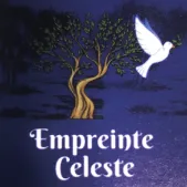 MOST MARCELLE logo