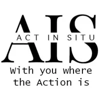 ACT IN SITU logo