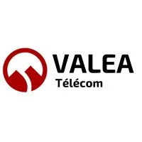 VALEA logo
