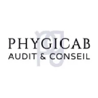 PHYGICAB AUDIT & CONSEIL logo