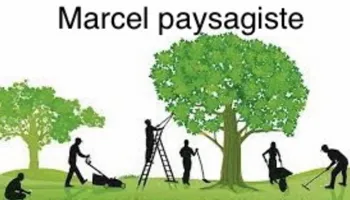 VEES MARCEL logo