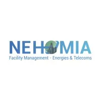 NMT CONSULTING logo
