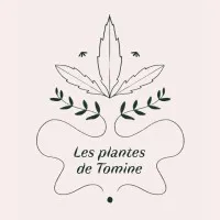 LES PLANTES DE TOMINE logo