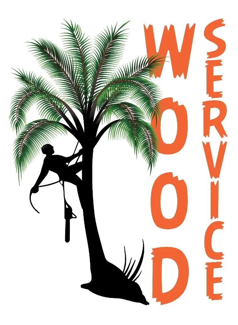 AVOTRESERVICE logo