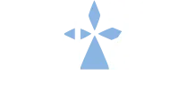 FRED DIAGNOSTIC IMMO 29 (FDI 29) logo