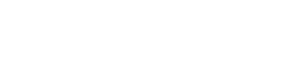ZIGLER MARTIAL logo