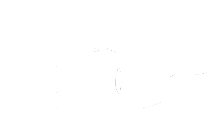 SOS DROLES DE DAMES logo