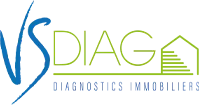VS DIAG logo