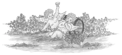 DOMAINE DES ANGELOTS logo