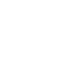 BREIZH COCOON logo