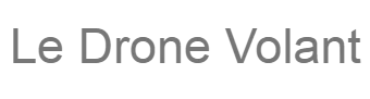 LE DRONE VOLANT logo