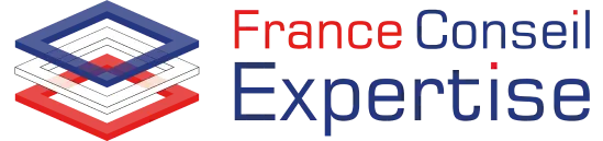 FRANCE CONSEIL EXPERTISE logo