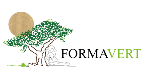 FORMAVERT logo