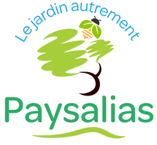 PAYSALIAS logo