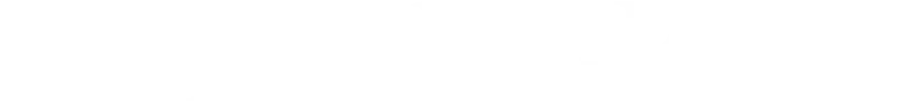 LEOPOLY logo