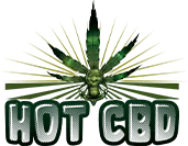 FLEURS DU PLAISIR logo