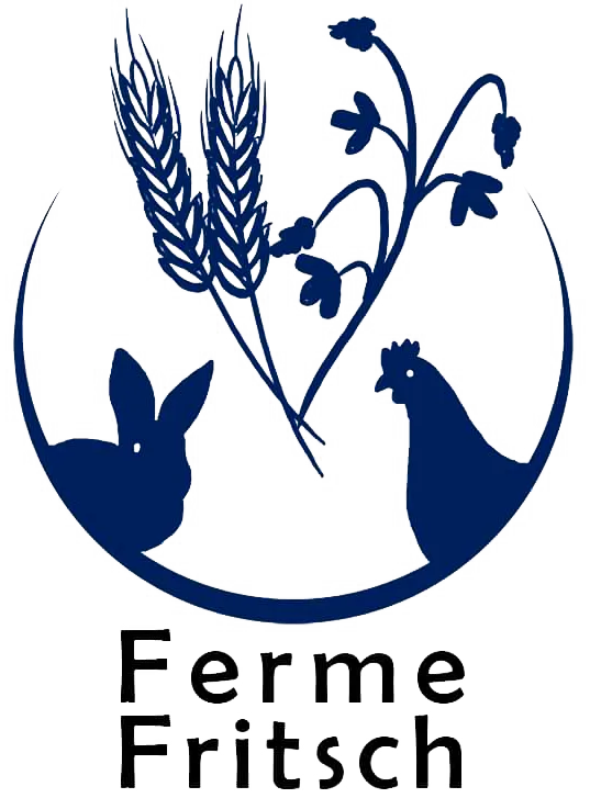 Voici le logo de la marque FRITSCH JEAN qui représente son identité graphique.