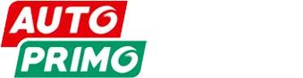 Voici le logo de la marque TUSSON AUTOMOBILES qui représente son identité graphique.